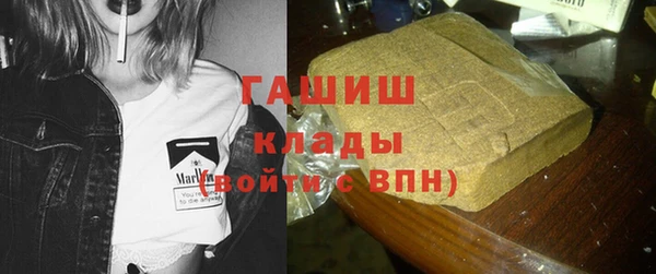 стаф Медногорск