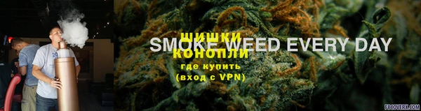 молекула духа Мегион