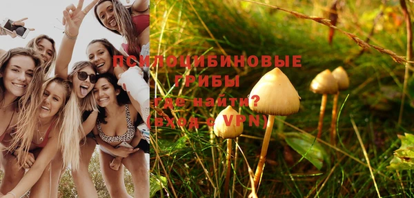 стаф Медногорск