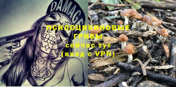 a pvp Медвежьегорск