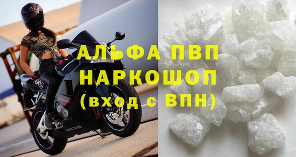 стаф Медногорск