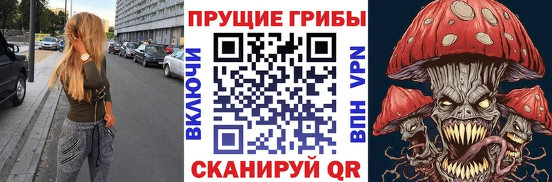 наркотики  Сычёвка  Псилоцибиновые грибы Magic Shrooms 